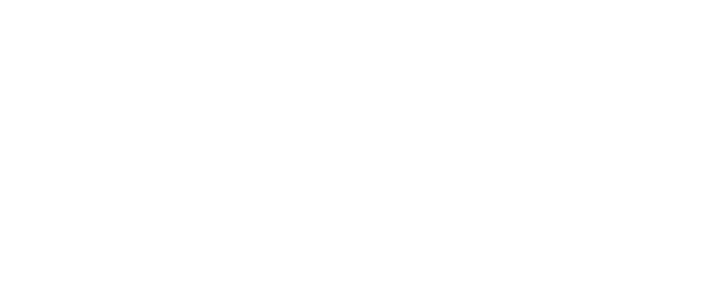 Bravenlylogo-white