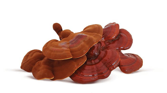CROPreishimushroom