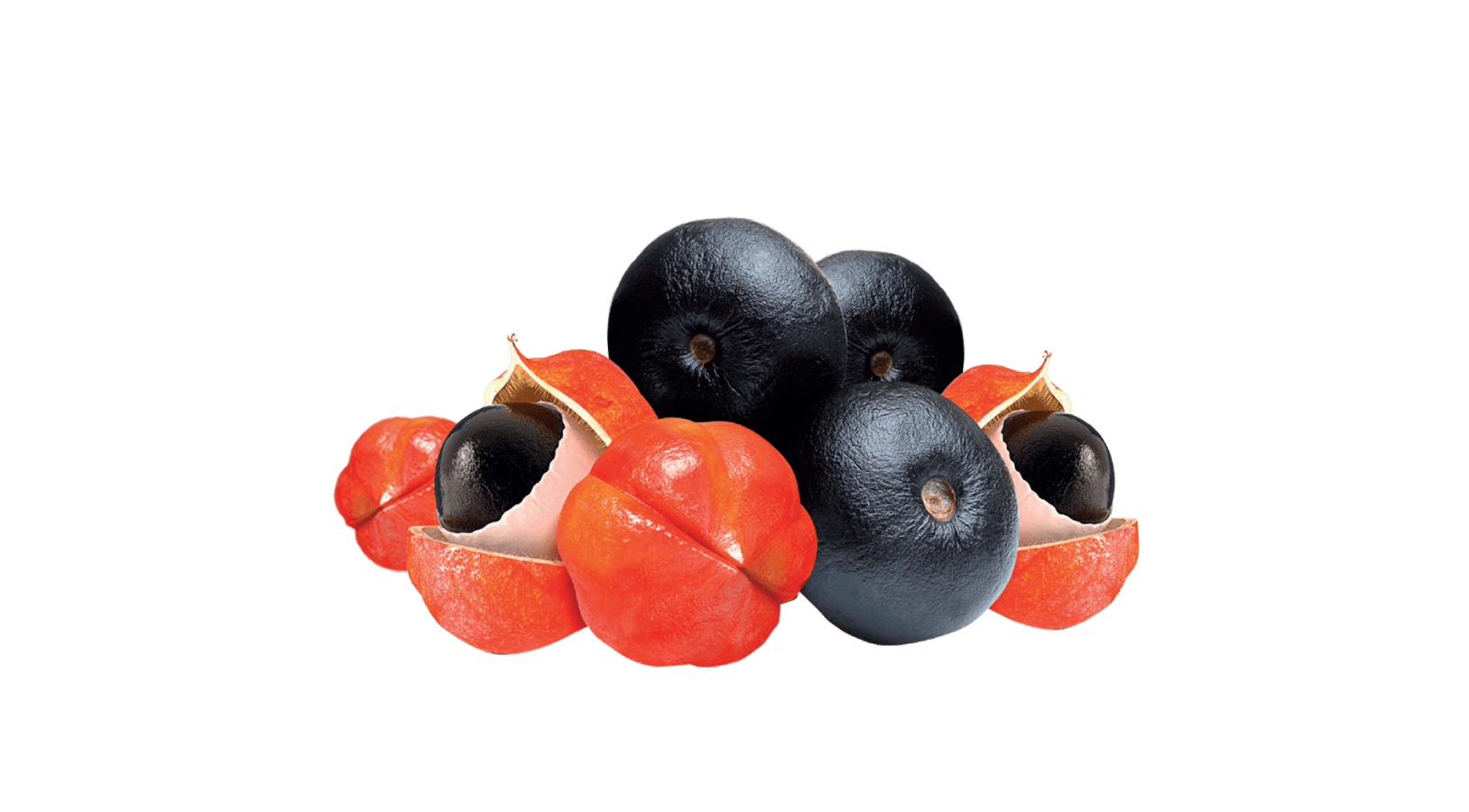 guarana
